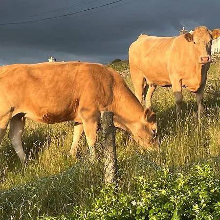 Lägenhet Bay View Hideaway *
