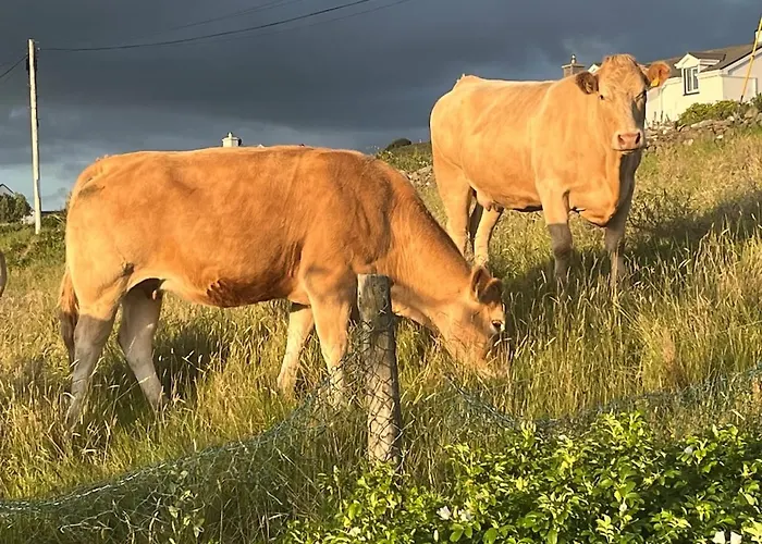 Apartament Bay View Hideaway *